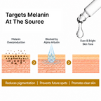 2% Alpha Arbutin + 5% Niacinamide | Tone Refining Serum